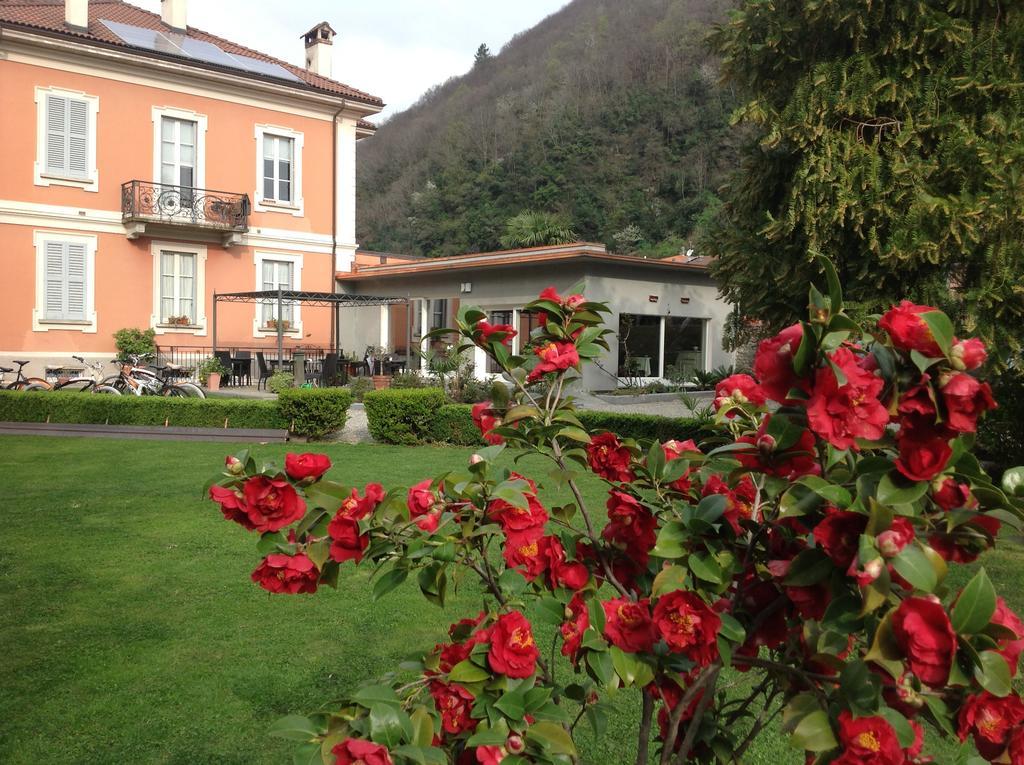 B&B Villa Dei Pini Cannobio Exterior photo